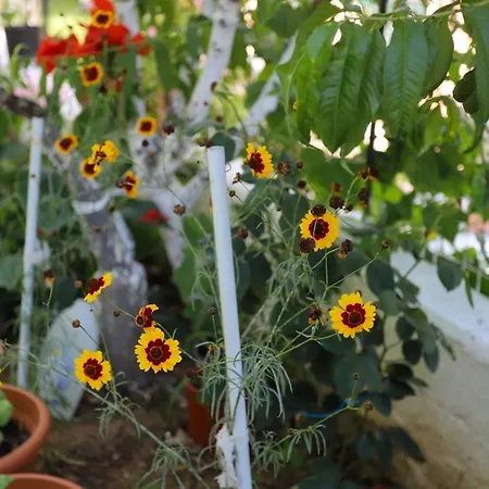 Holiday home Christina's House By Guestcorfu *